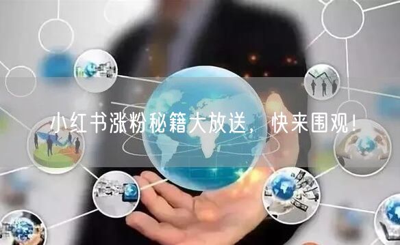 小红书涨粉秘籍大放送，快来围观！