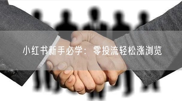 小红书新手必学：零投流轻松涨浏览